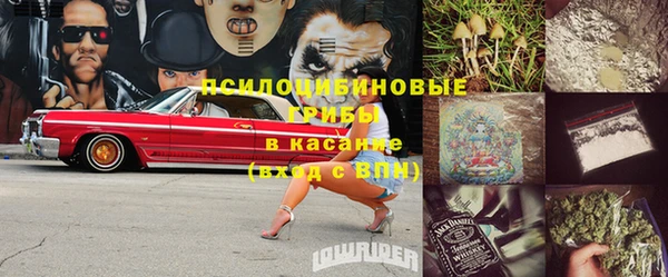 стафф Баксан